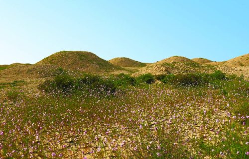 Dilmun Burial Mounds